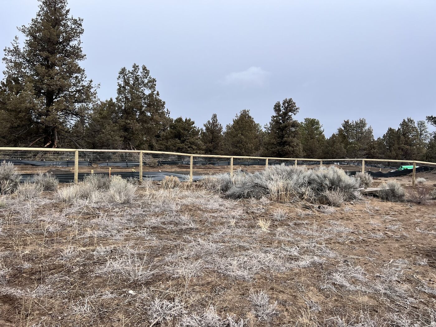 Cedar privacy fence along snowy property line